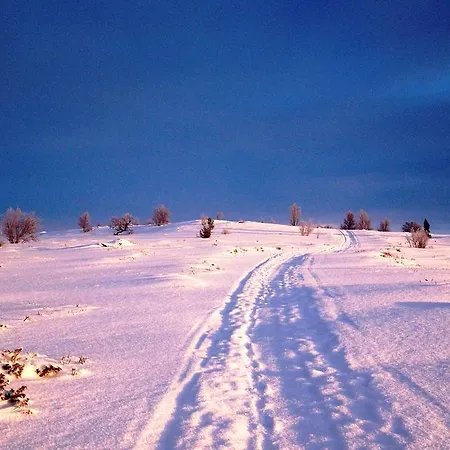 Hostel Basecamp Frich`s *