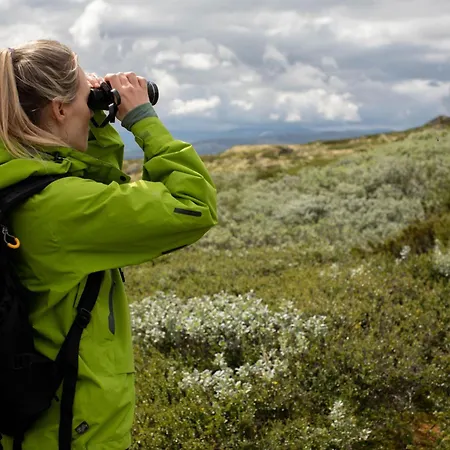 Hostel Basecamp Frich's *