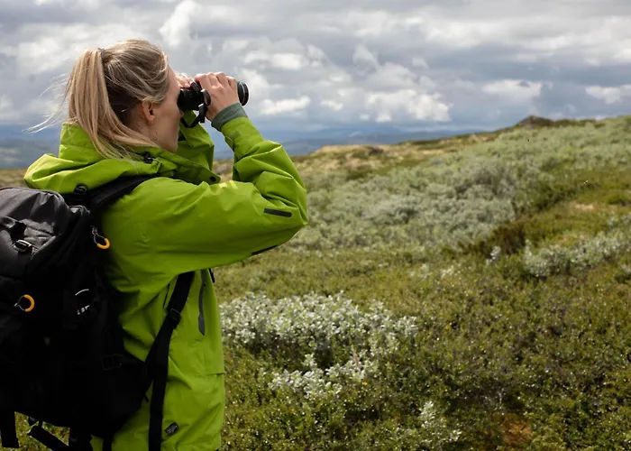 Hostel Basecamp Frich's *