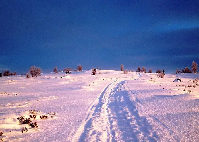 Hostel Basecamp Frich's *